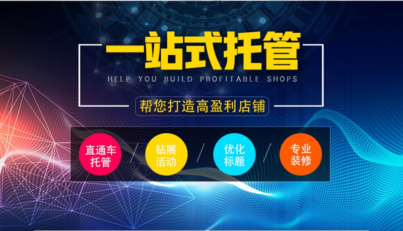 站群程序出售市场现状解析
